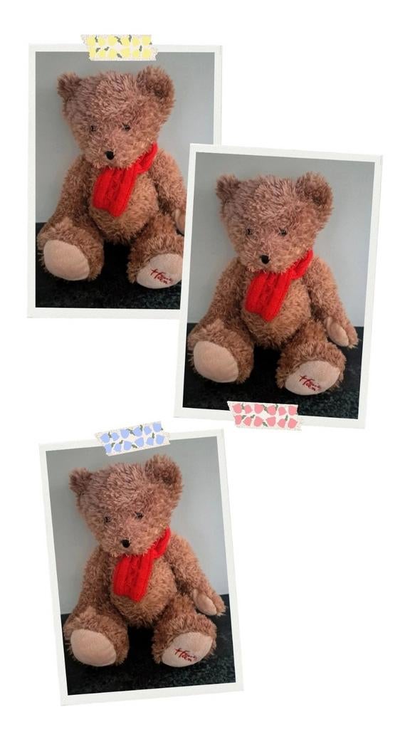 Knuffel - Hamleys  - 40 cm, Kinderen en Baby's, Speelgoed | Knuffels en Pluche, Ophalen of Verzenden, Beer