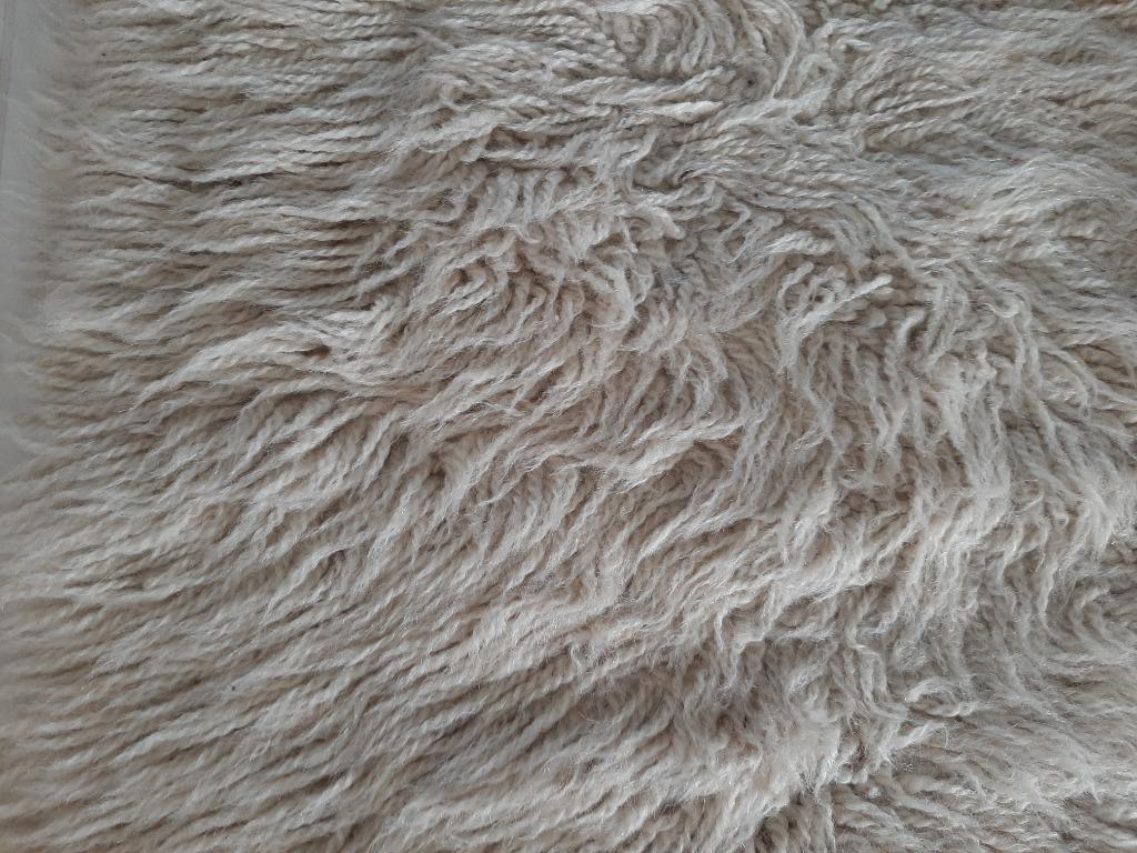 TAPIJT LANGHARIG "MERK DESSO", Ophalen, 100 tot 150 cm, Beige, 50 tot 100 cm