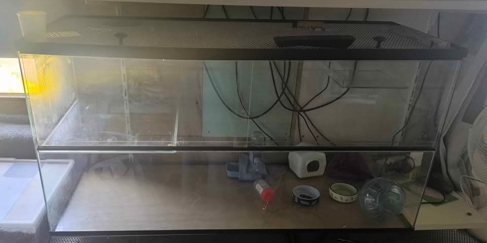 terrarium voor knaagdieren, Dieren en Toebehoren, Gebruikt, Muis, Hok, 75 tot 110 cm
