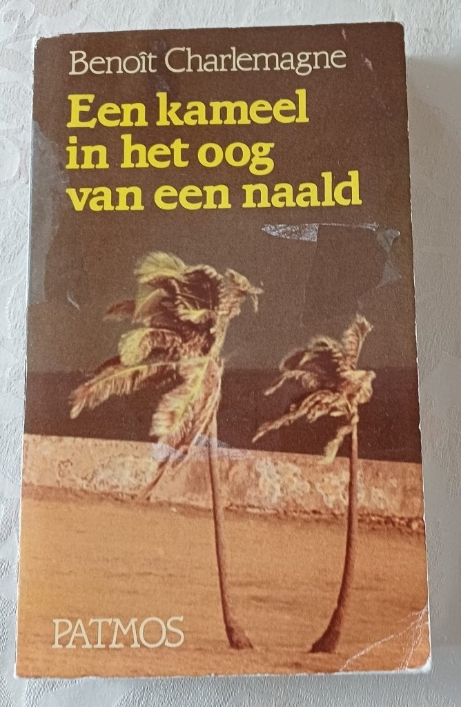 Een Kameel in het Oog van een Naald - Benoît Charlemagne, Livres, Enlèvement ou Envoi, Benoît Charlemagne, Religion