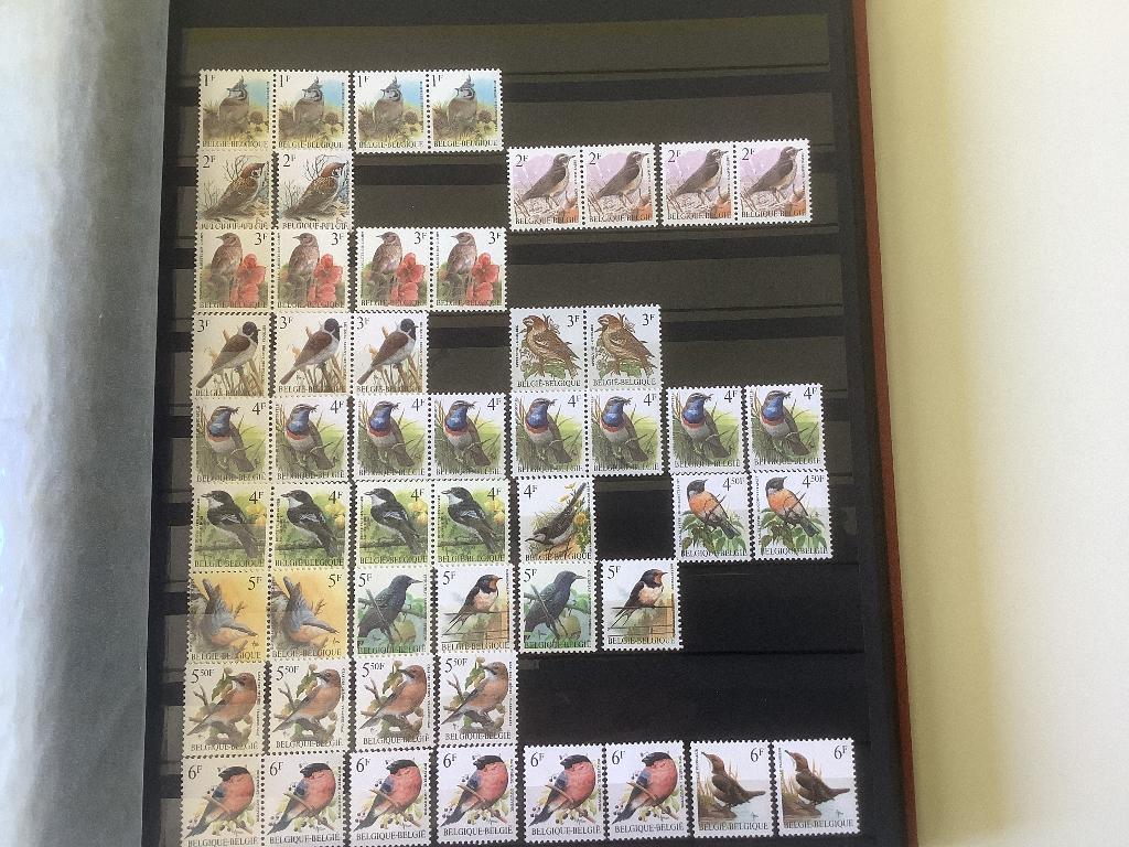 Postzegels - Buzin vogels, Non oblitéré, Enlèvement, Sans enveloppe, Timbre-poste