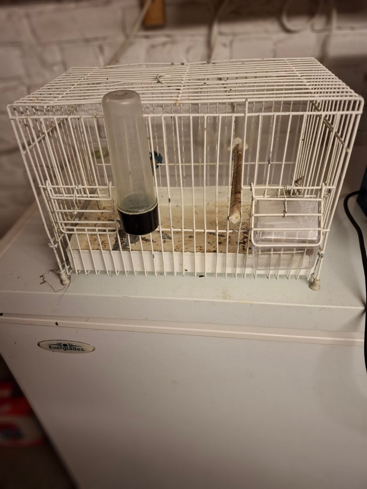 des cage oiseaux, Enlèvement ou Envoi