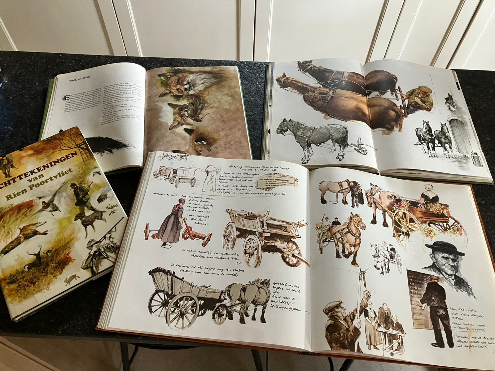 4 Boeken van Rien Poortvliet, Enlèvement ou Envoi