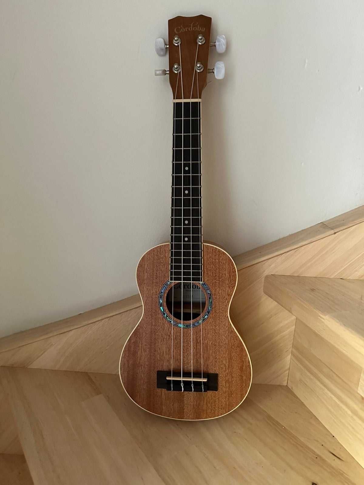 Ukelele Cordoba 15SM, Muziek en Instrumenten, Ophalen, Zo goed als nieuw, Ukelele
