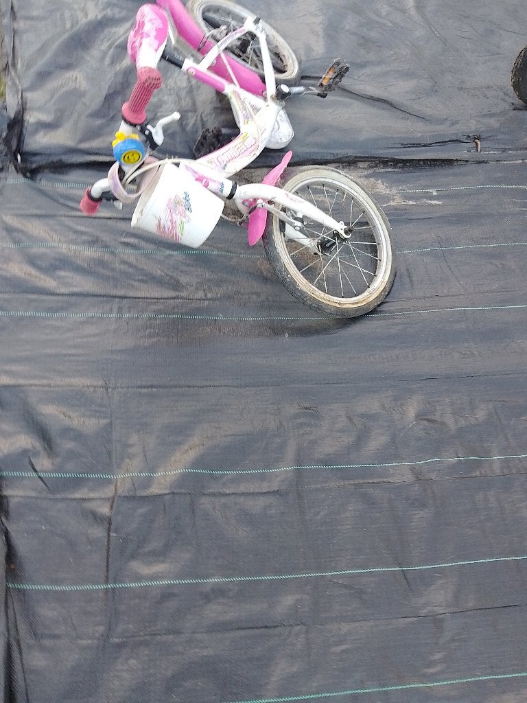 Roos witte kinderfiets, Ophalen, Gebruikt, Velgrem, 16 inch