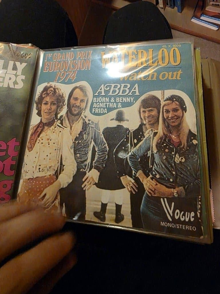 Platencollectie: 225 lp's, 43 singles, 115 cd's, 75 cassette, Ophalen, Gebruikt, LP
