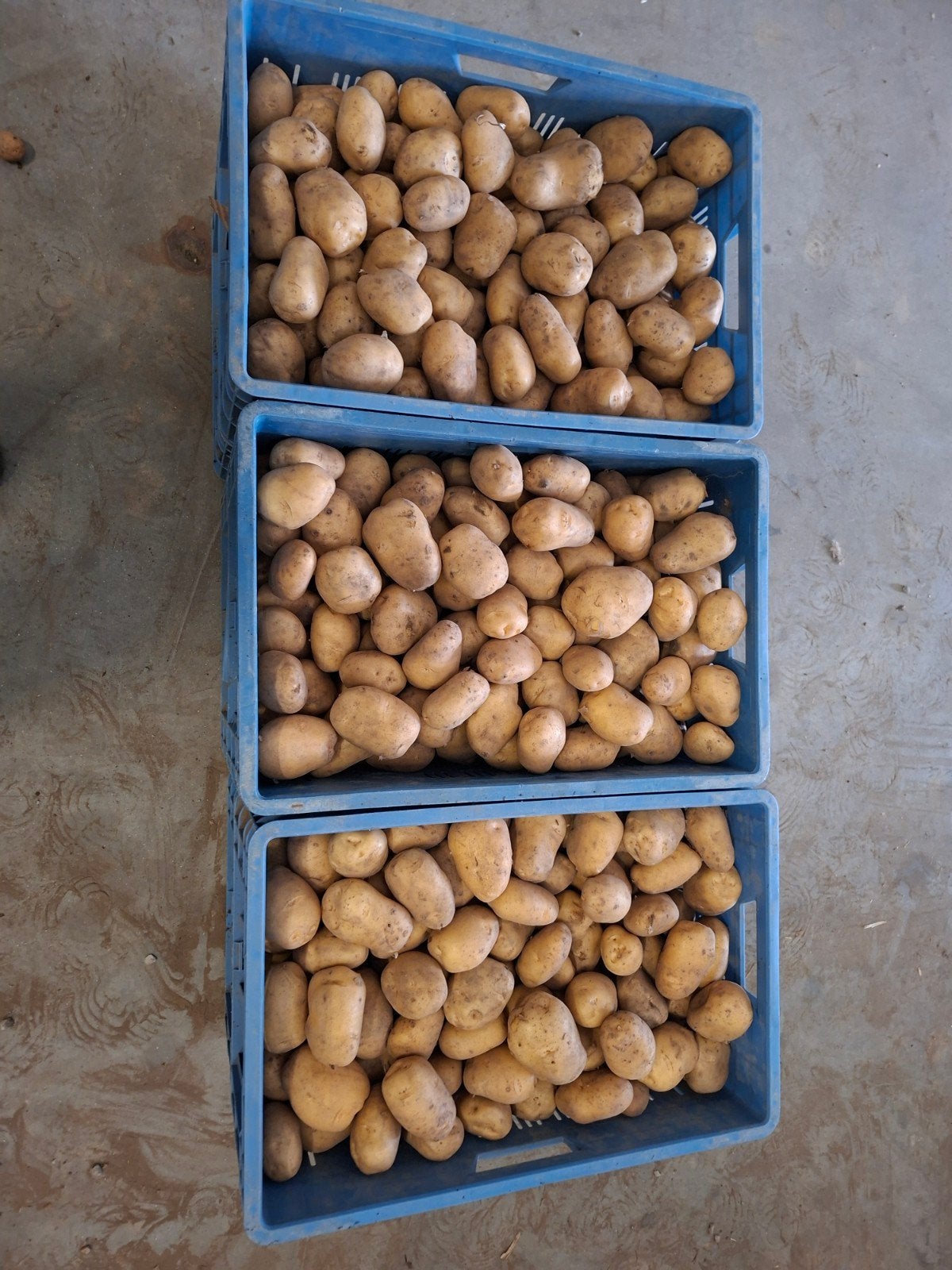 aardappelen frieslander, Ophalen of Verzenden