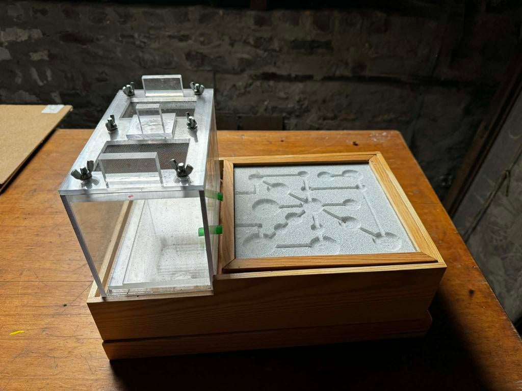 Fourmilliere sous verre, Enlèvement ou Envoi, Comme neuf