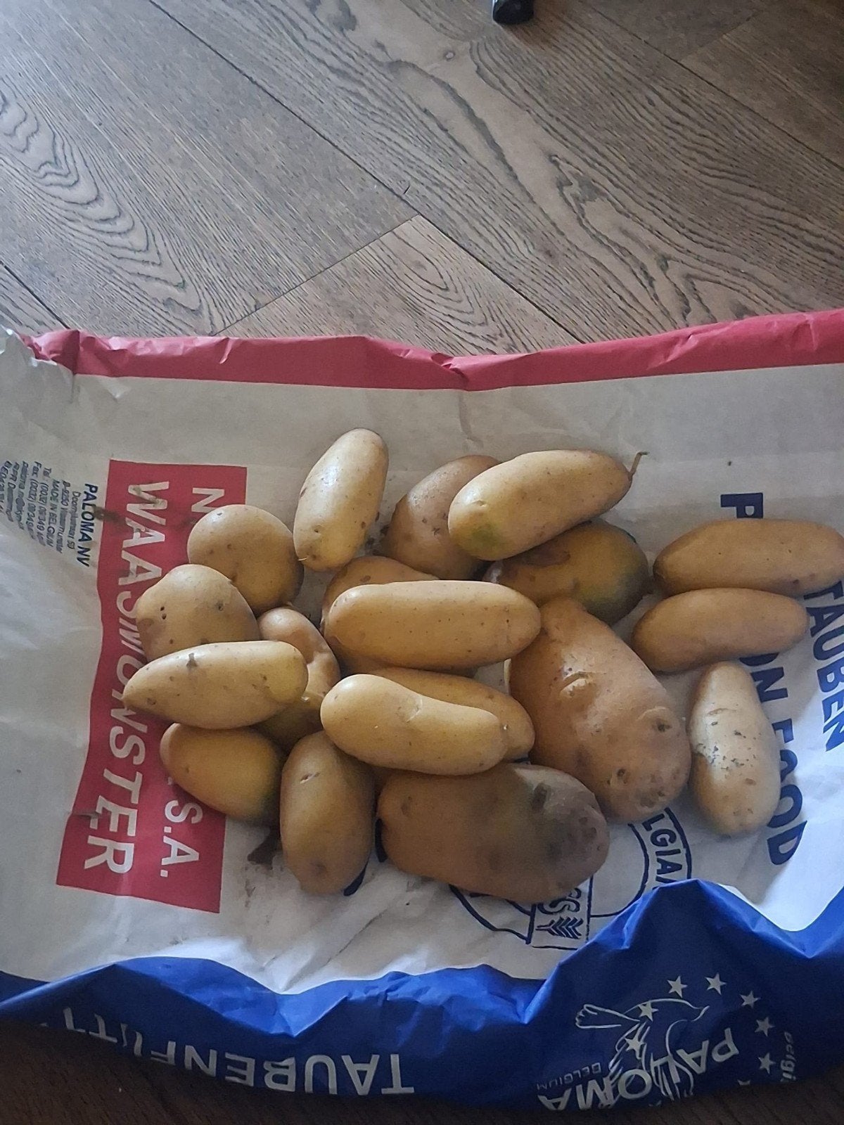 Eigen kweek Aardappelen info in beschrijving, Ophalen