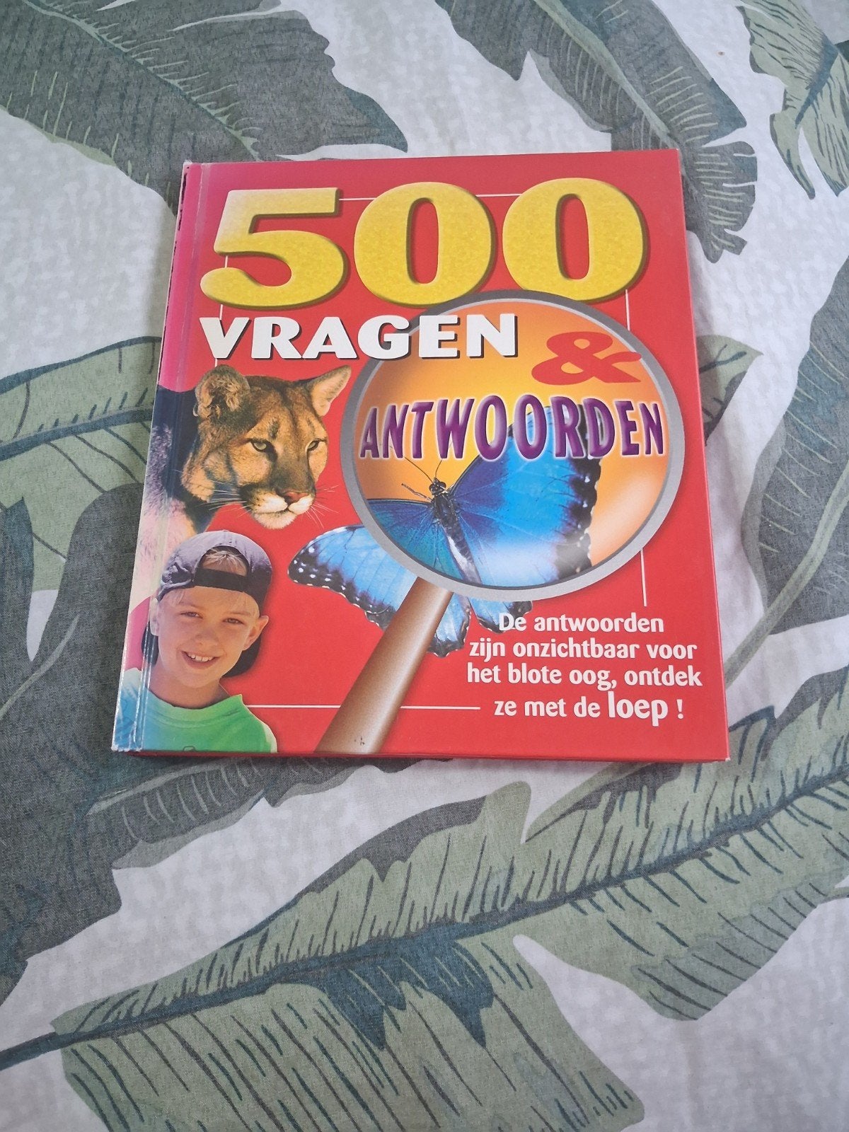 12 Boeken voor de kinderen/jeugd - KIJK ALLE AFBEELDINGEN, Boeken, Ophalen