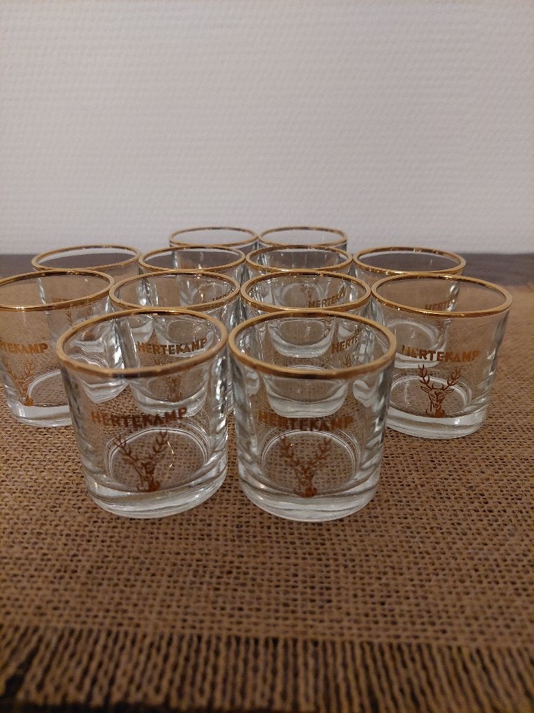 Verres Hertekamp à bords dorés — 12 pièces, Enlèvement ou Envoi, Neuf, Verres et Verres à shot