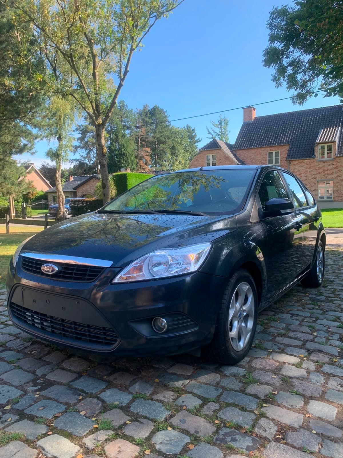 Ford Focus 1.6i | Kilomètres réduits ! | 2009, Focus, Achat, Entreprise, Boîte manuelle
