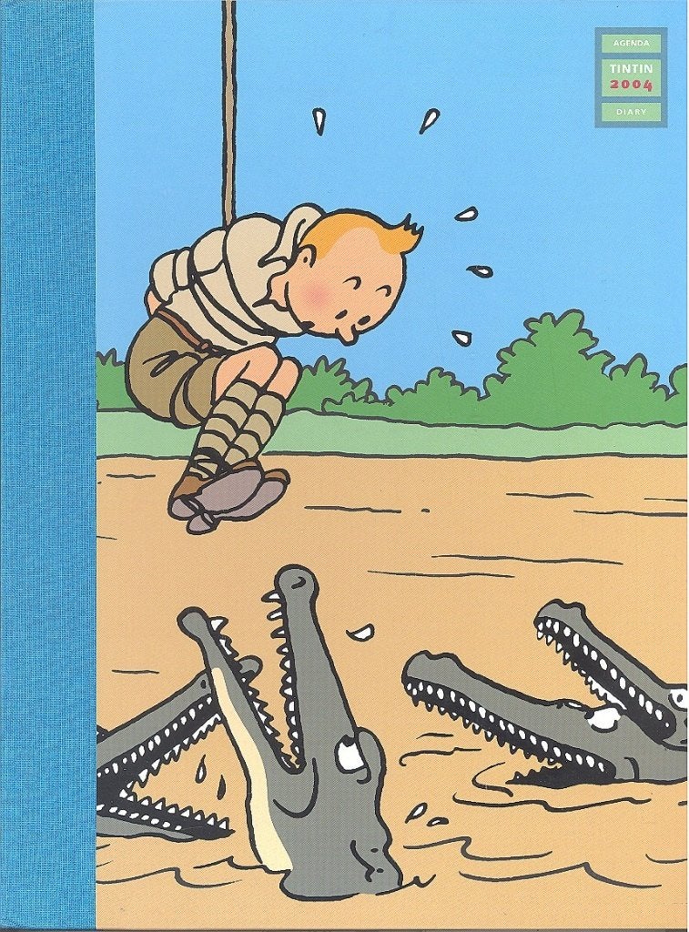 Kuifje agenda /Tintin Diary 2004., Boeken, Stripverhalen, Eén stripboek, Ophalen of Verzenden, Zo goed als nieuw, Hergé