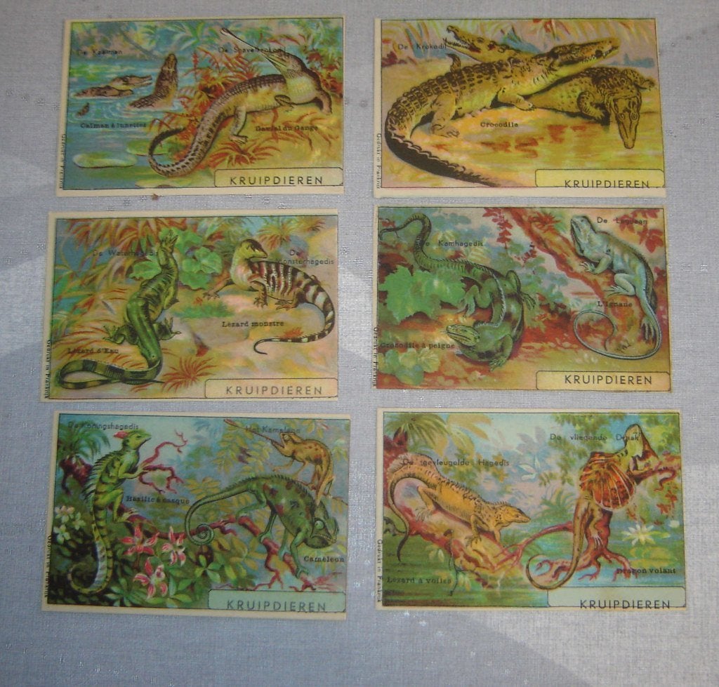 Chenilles de la série Chromos Tape, Avant 1940, Gravure, Utilisé, Autres sujets/thèmes