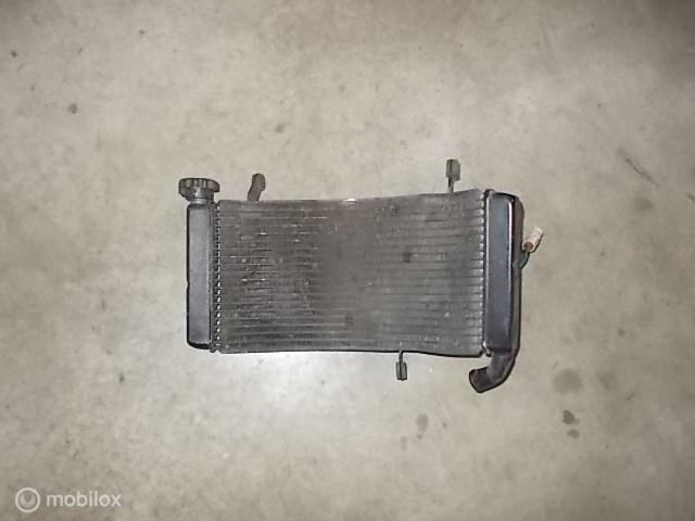 Radiateur origineel radiator ST2 ST3 ST4 ST 2 3 4 S Senna, Motoren, Gebruikt, Ophalen of Verzenden