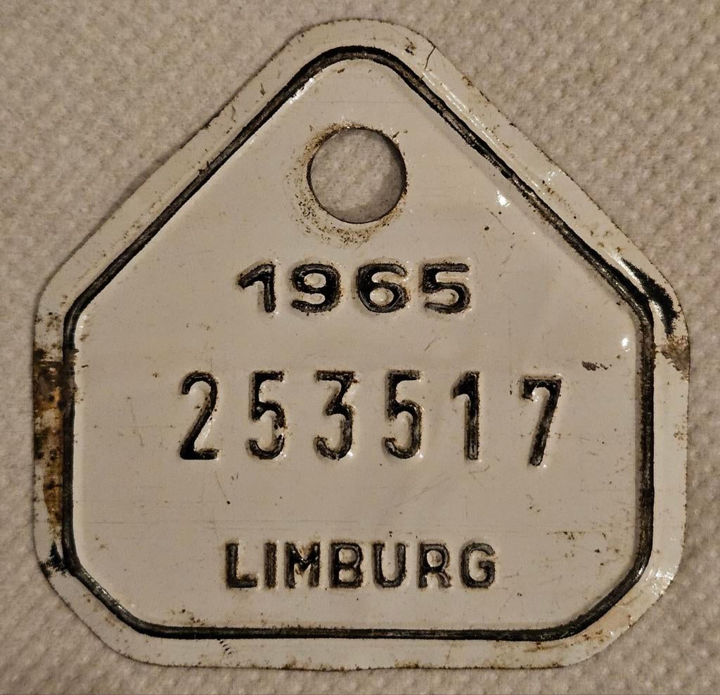 Plaque de branchement de vélo Limburg 1965 253517
Cet objet, Collections, Collections Autre, Enlèvement ou Envoi