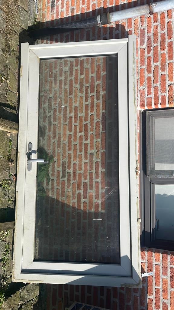 Polyester glazen deur licht grijs, Doe-het-zelf en Bouw, Kunststof, 200 tot 215 cm, Ophalen, 100 tot 120 cm