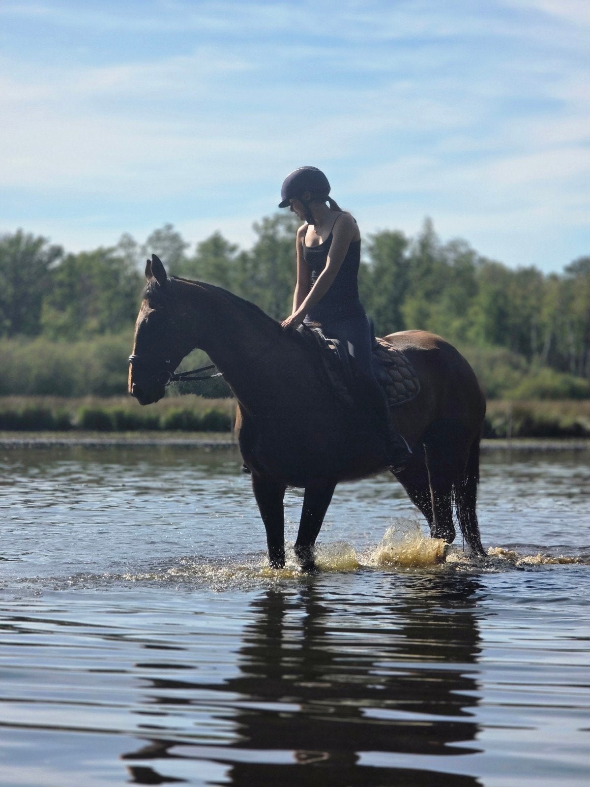 Allround familie paard, Dieren en Toebehoren, Paarden, Merrie