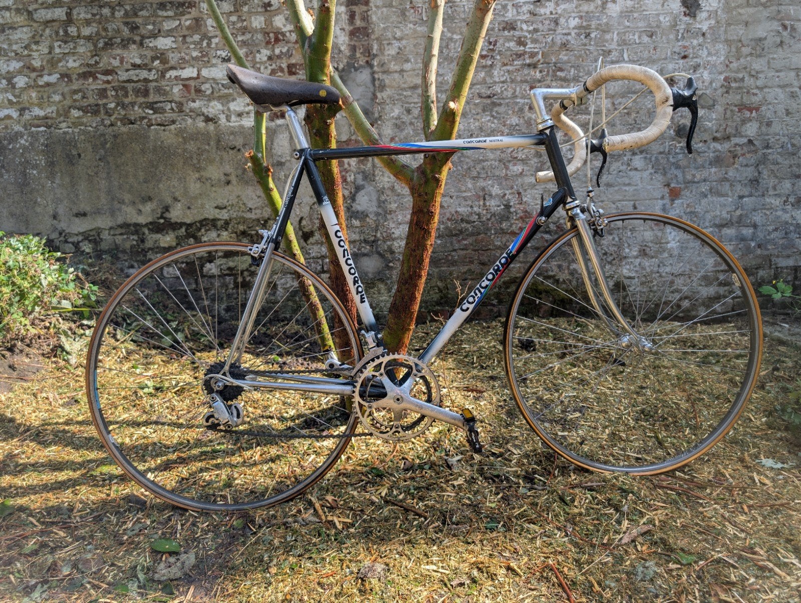 Vintage Concorde Mistral ( heeft nieuwe banden nodig), 61 à 65 cm, Enlèvement, Utilisé, Autres marques