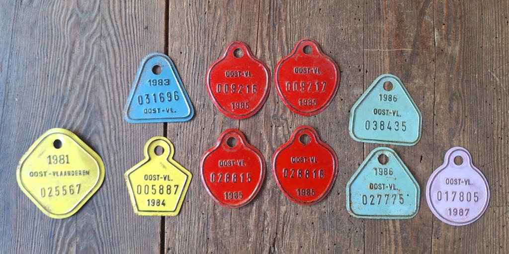 Photos de vélos vintage, Enlèvement ou Envoi
