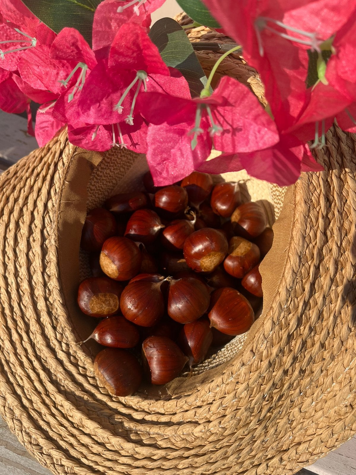 Chataignes fraîches du jardin, Enlèvement ou Envoi