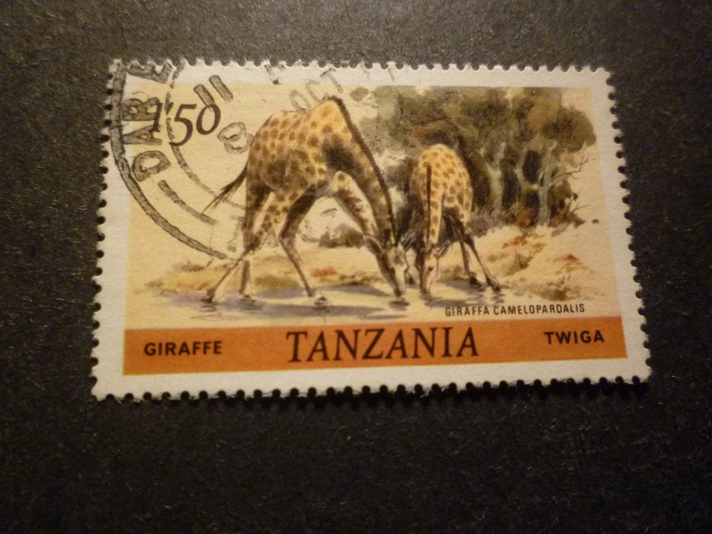 Tanzania/Tanzanie 1980 Mi 168A(o) Gestempeld/Oblitéré, Postzegels en Munten, Postzegels | Afrika, Verzenden, Tanzania