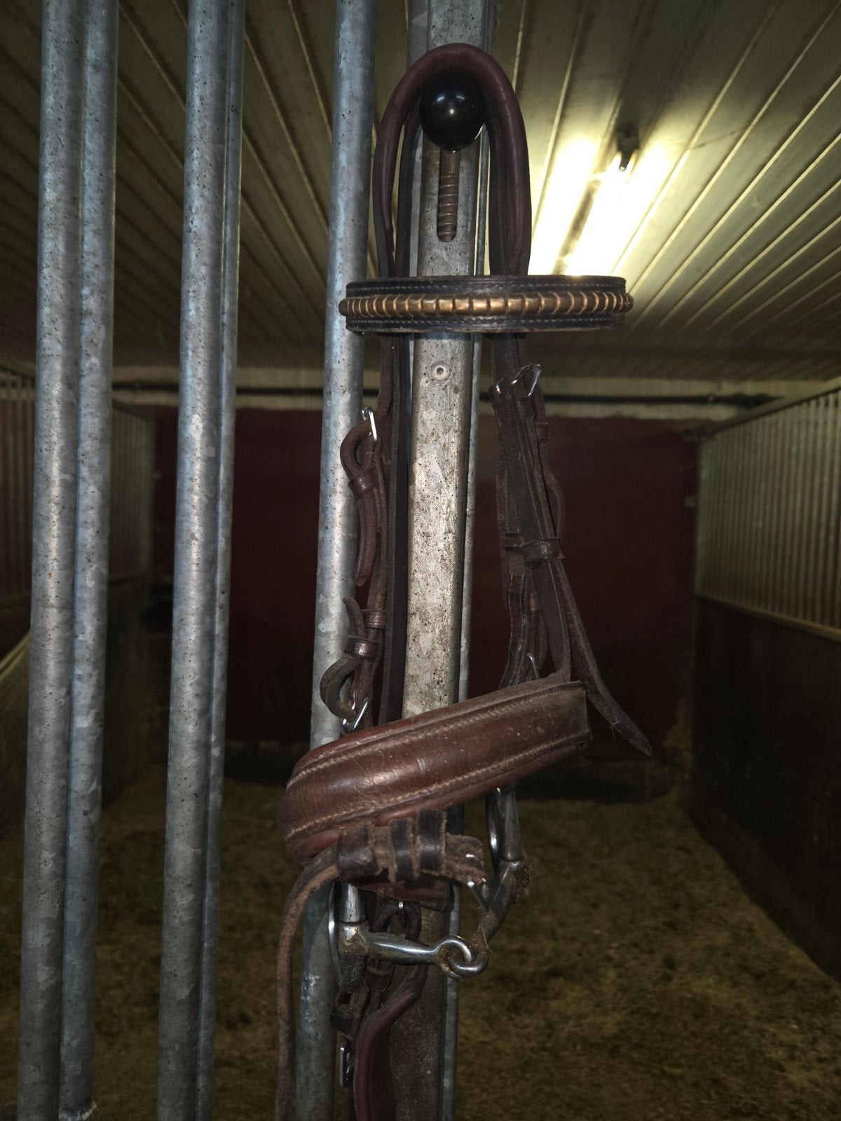 hoofdstellen, Dieren en Toebehoren