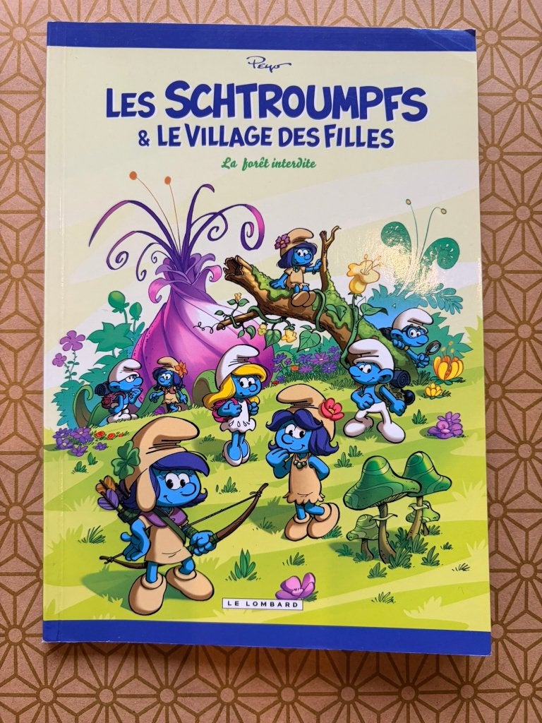 Les Schtroumpfs & le Village des filles — La forêt interdite, Livres, Enlèvement, Utilisé, Fiction général
