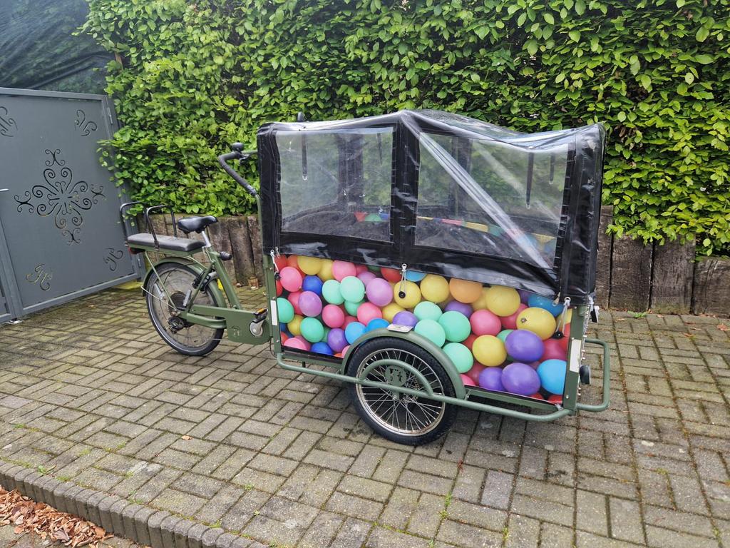 Elektrische backbike, Fietsen en Brommers, Ophalen, Gebruikt, 4 kinderen of meer, Elektrisch