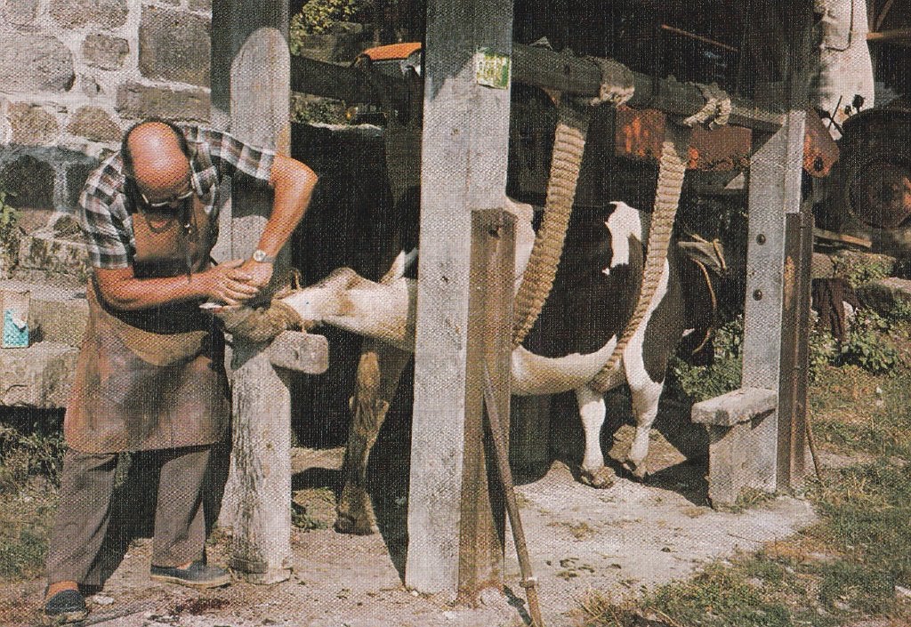 FOLKLORE -  Hoefsmid voor Koeien, Verzamelen, Verzenden, Ongelopen, Ambachten of Beroep