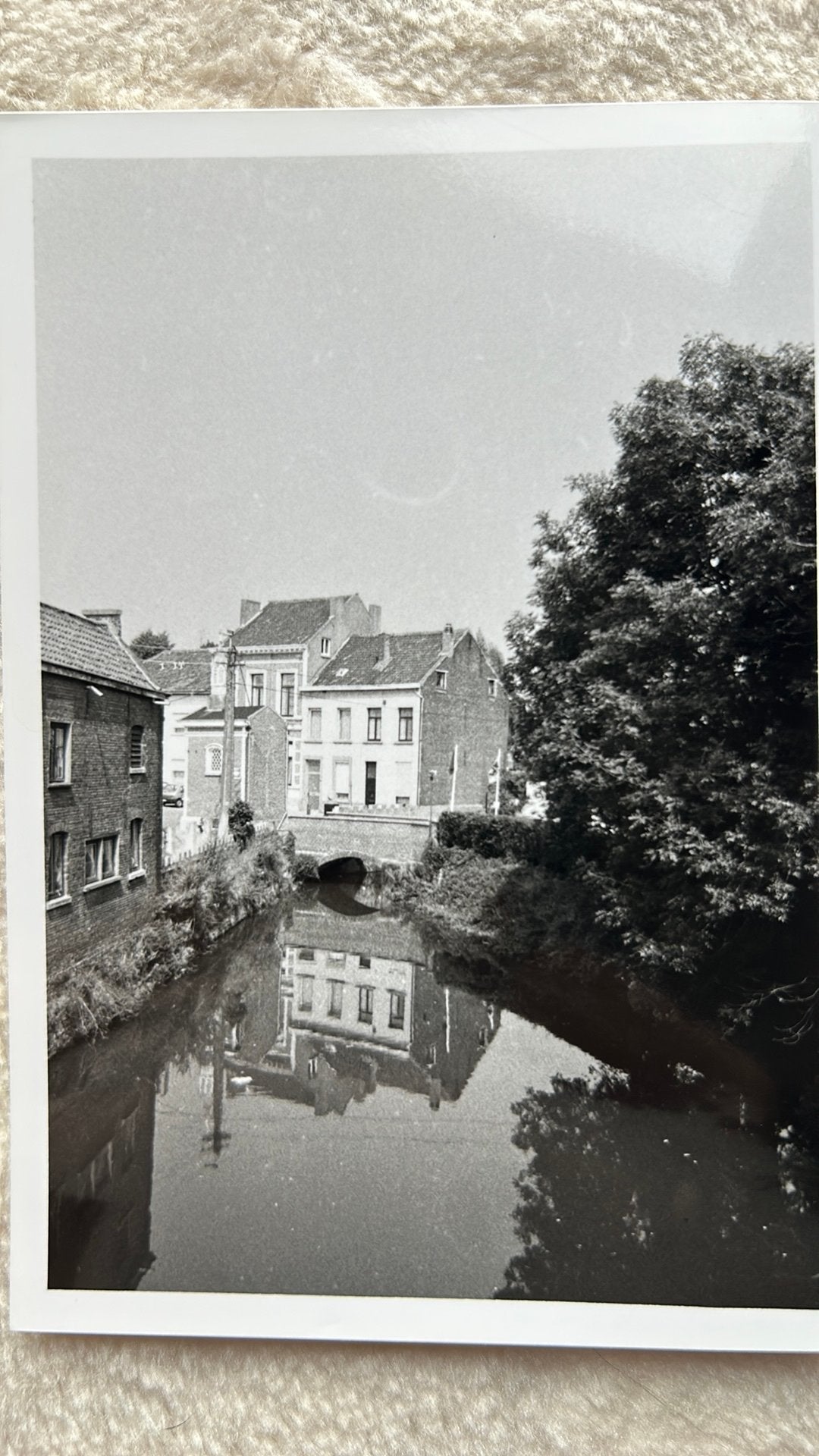 Originele foto Binnennete te Lier, Ophalen