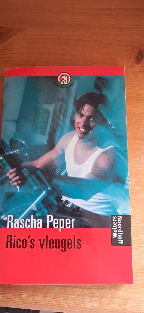 Boek roman 'Rico's vleugels', Ophalen, Zo goed als nieuw, Nederland, Rascha Peper