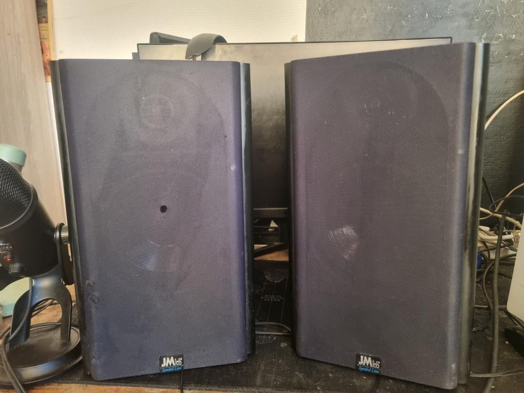JMlab Speaker, Enlèvement