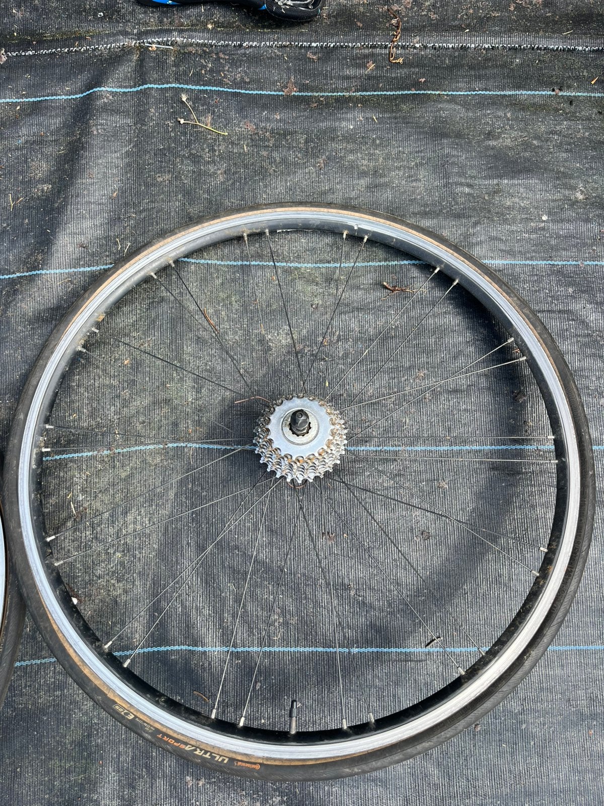 Witte scatto fiets 43-47 cm, Utilisé, Aluminium, Racefiets, Enlèvement
