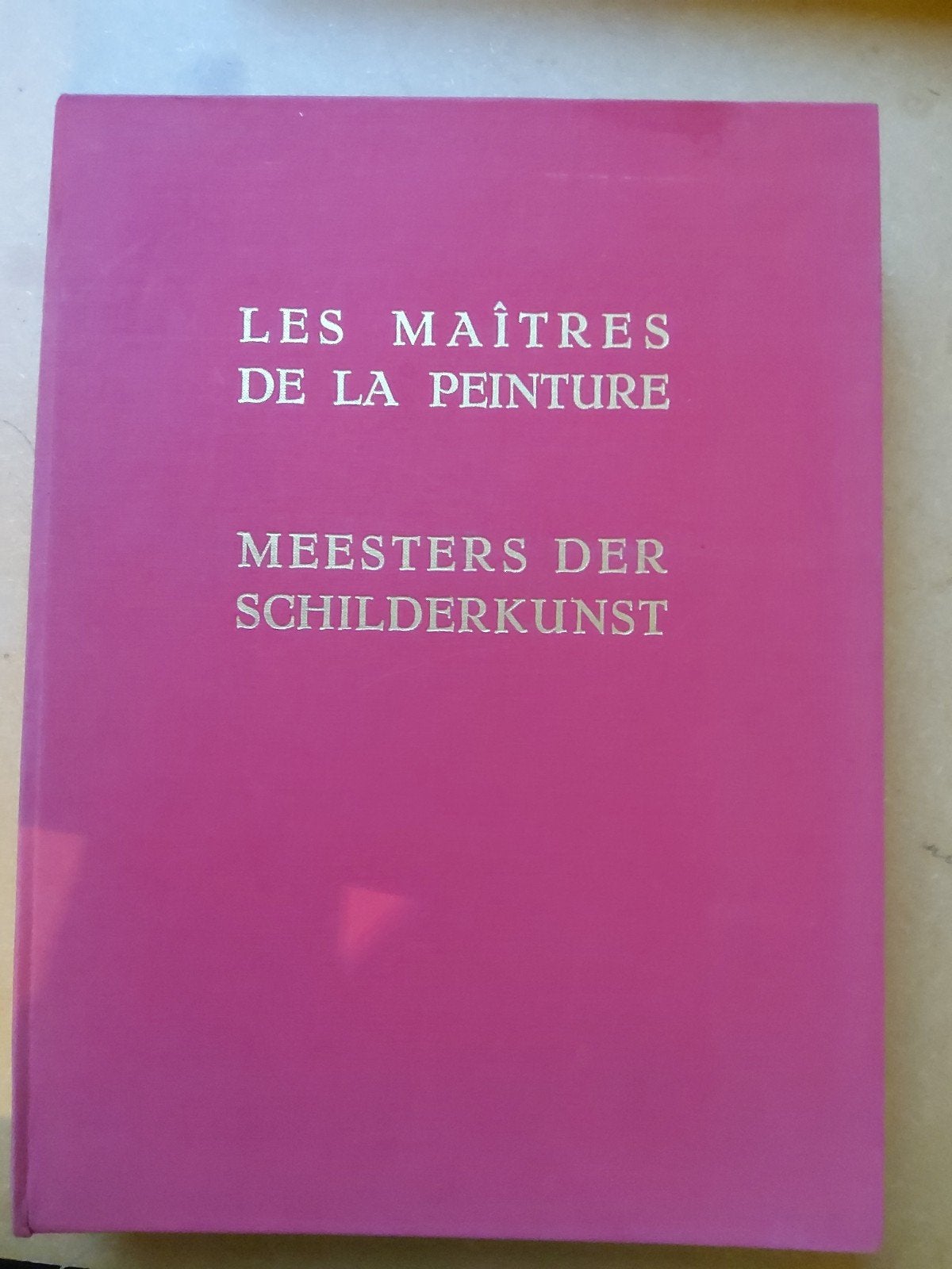 2 boeken meesters der schilderkunst, Livres, Enlèvement, Utilisé