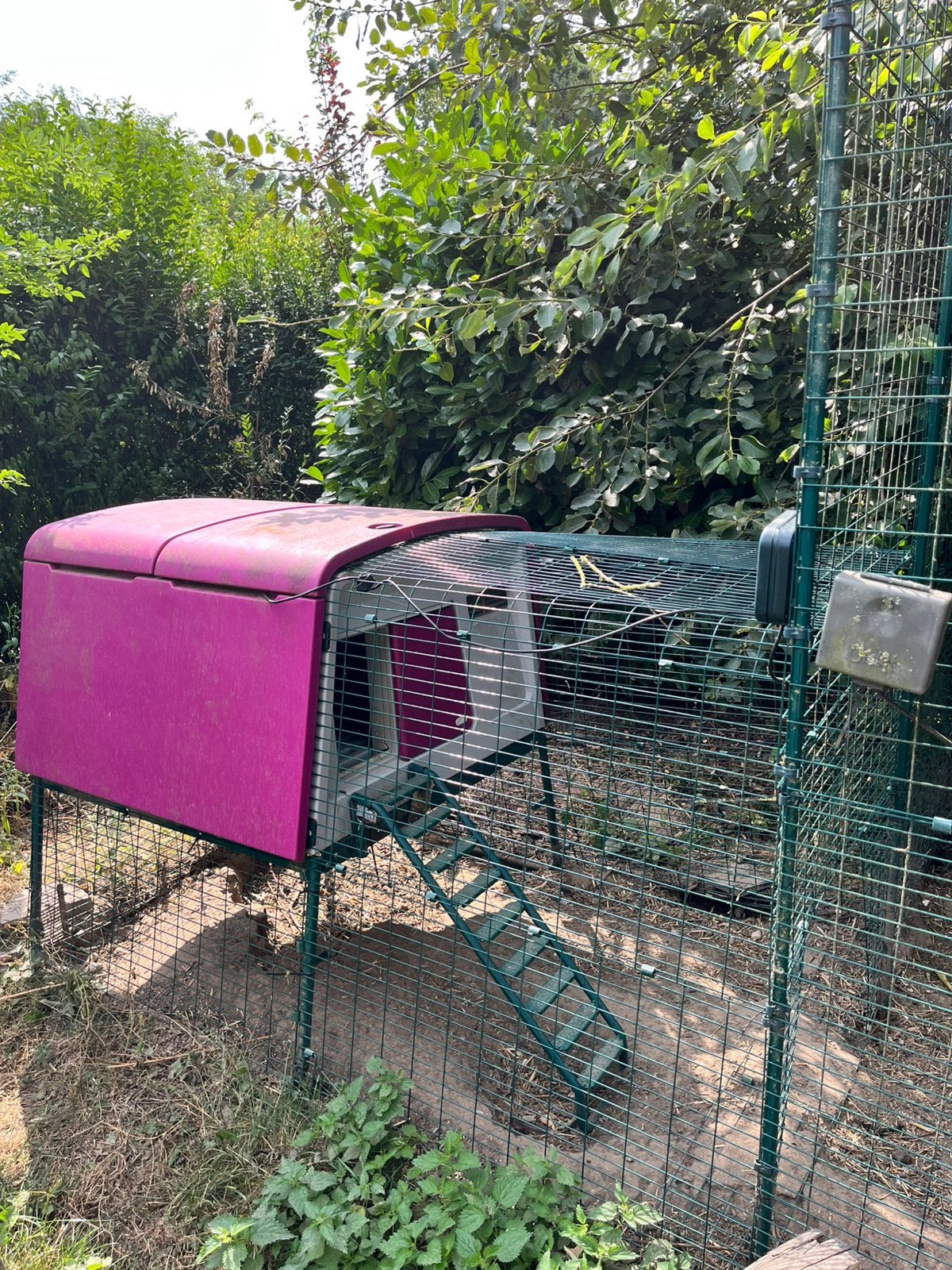 Omlet Eglu Cube kippenhok en groot hok, Dieren en Toebehoren, Pluimvee | Toebehoren, Ophalen, Gebruikt, Kippenhok of Kippenren
