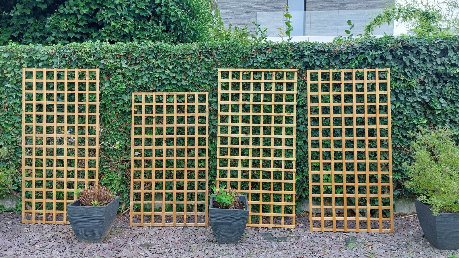 Trellis grenen 80 x 180, Ophalen, Nieuw, Hout, Sierhekwerk