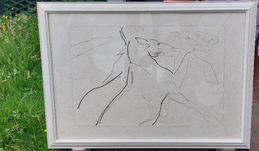Octave Landuyt Voorwaarts in lucht van paarden 1985 (+ 2024), Ophalen