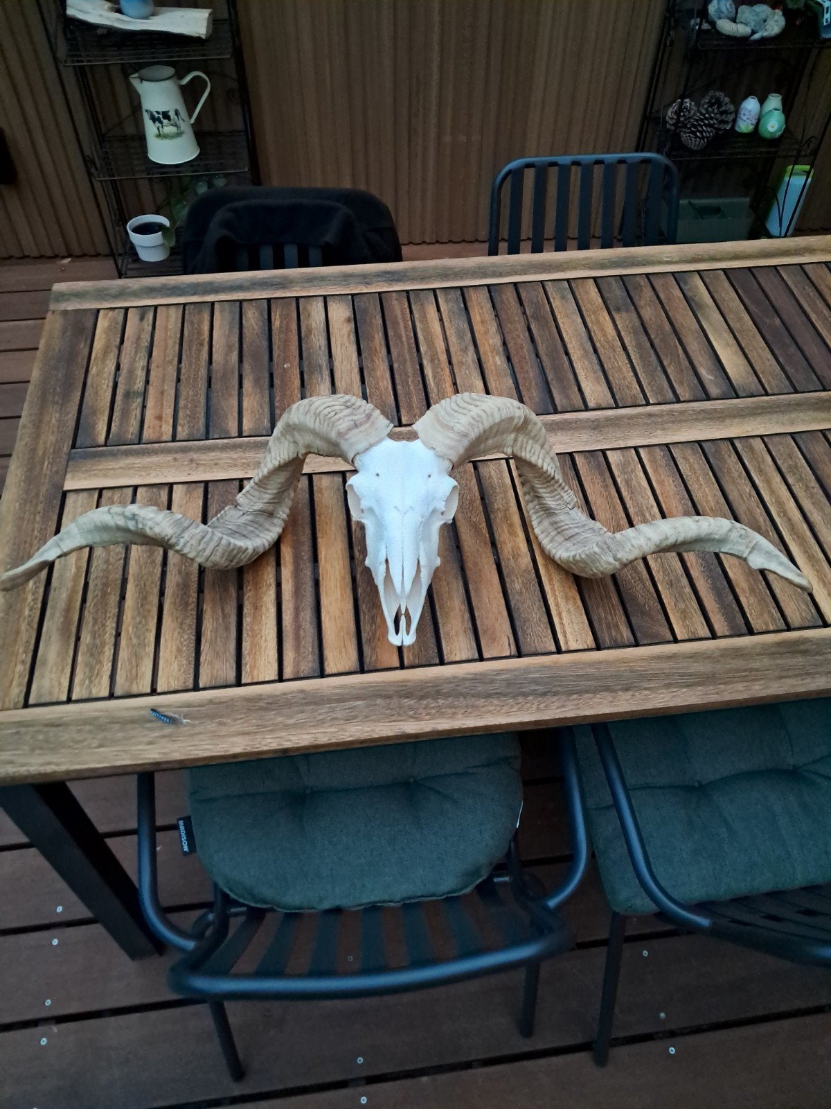 Kop ram, Ophalen