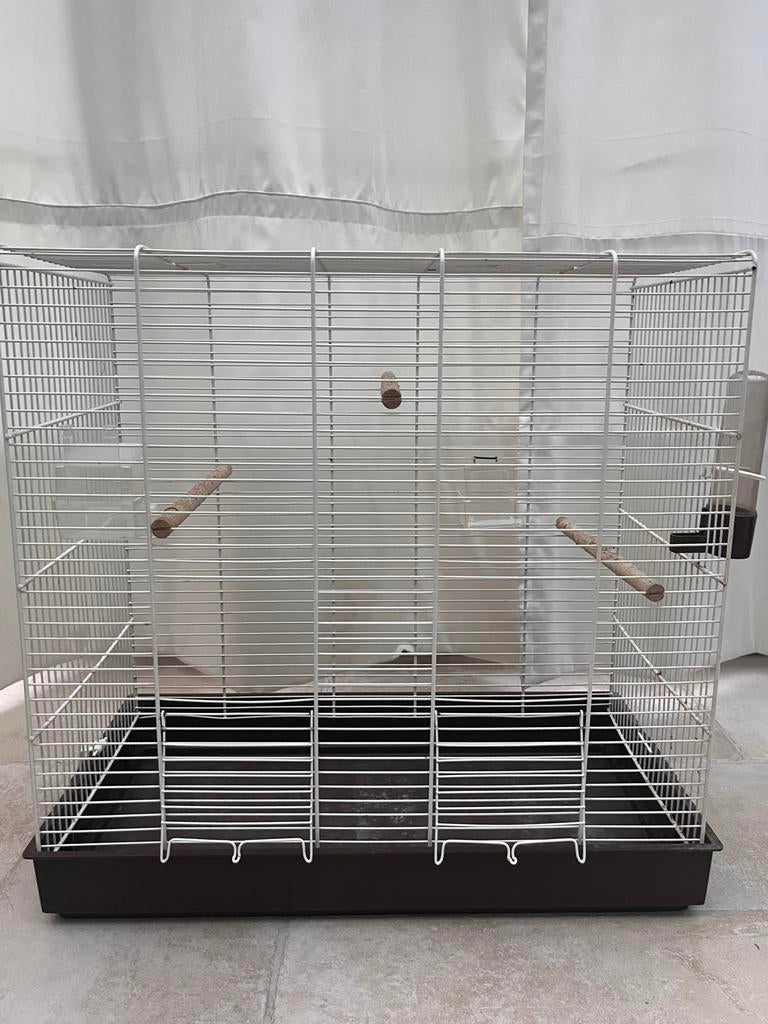 Vogelkooi, Ophalen, Gebruikt, Kunststof, Vogelkooi