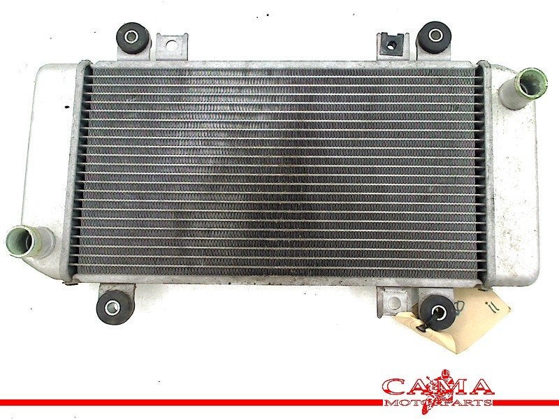RADIATEUR Kawasaki ZX 250 R (Ninja ZX250R) (220003741), Motoren, Dhr. S. di Majo, Gebruikt, Info@cama-motorparts.nl, P.J. Troelstraweg 8 8
3144 CX  MAASSLUIS, NL