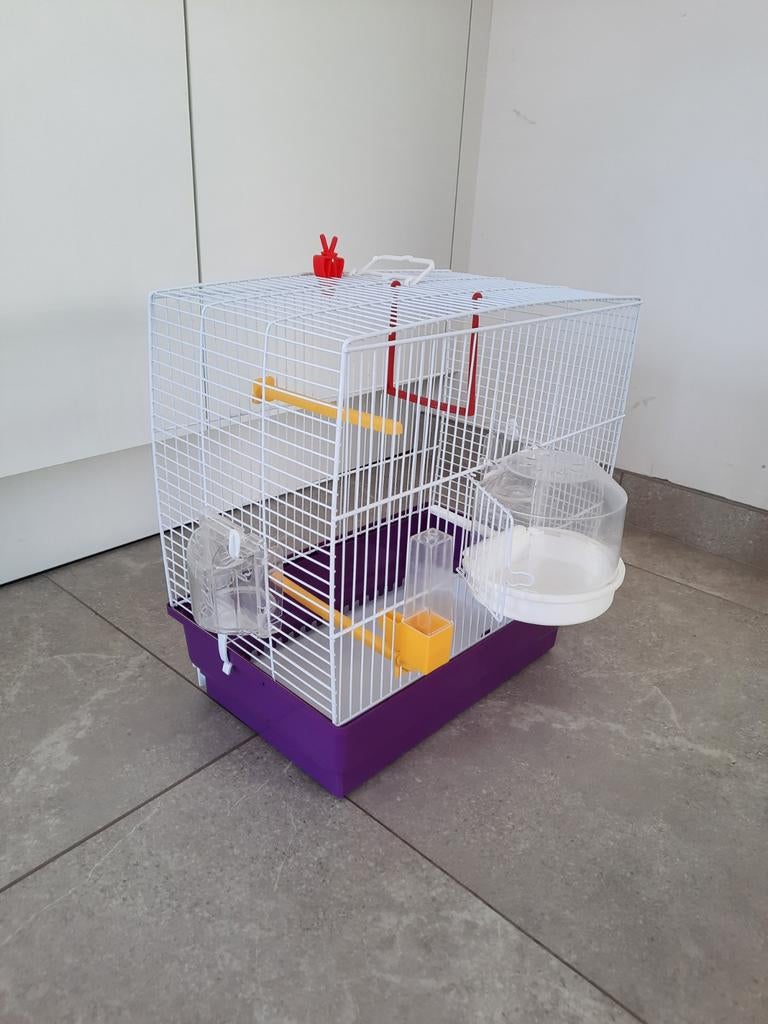 Vogelkooi voor kanarie, Dieren en Toebehoren, Ophalen