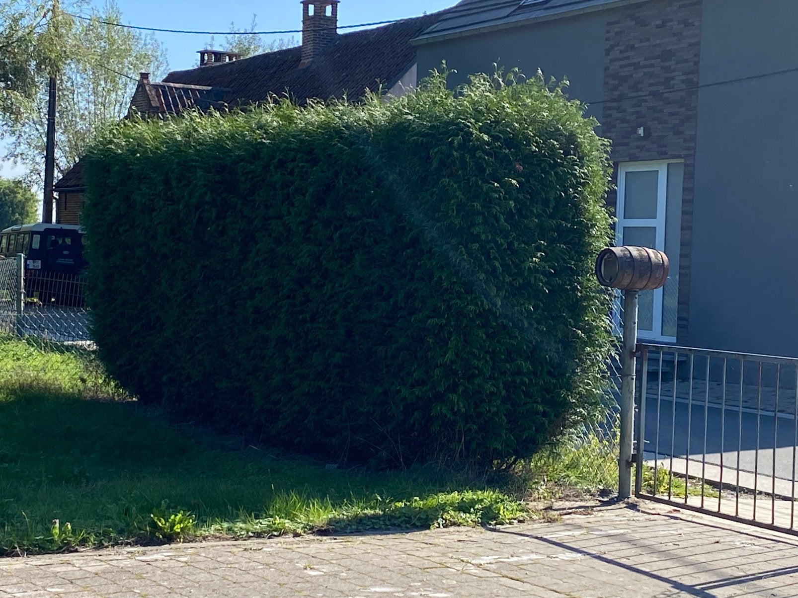 Gevraagd persoon die onze haag kan scheren, Tuin en Terras, Ophalen, Zo goed als nieuw