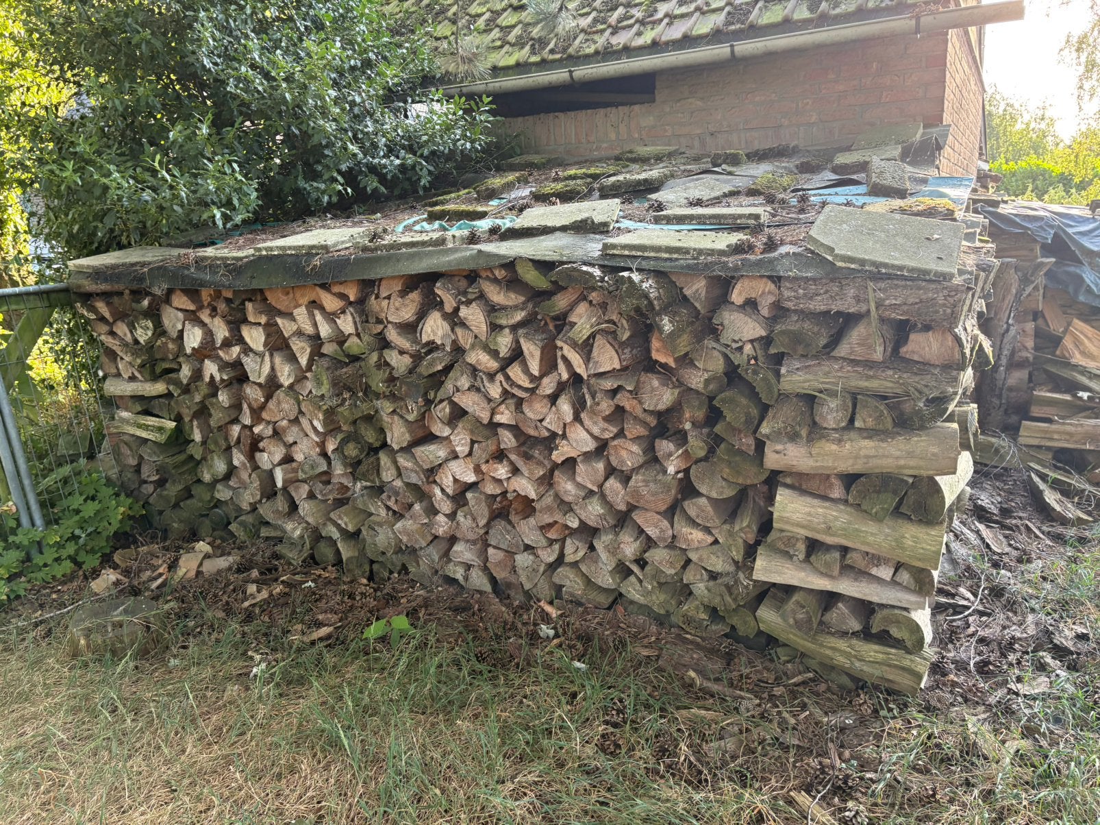 16 m³ droog essenhout / haardhout – kwaliteitsvol brandhout, Ophalen, Essenhout, Blokken