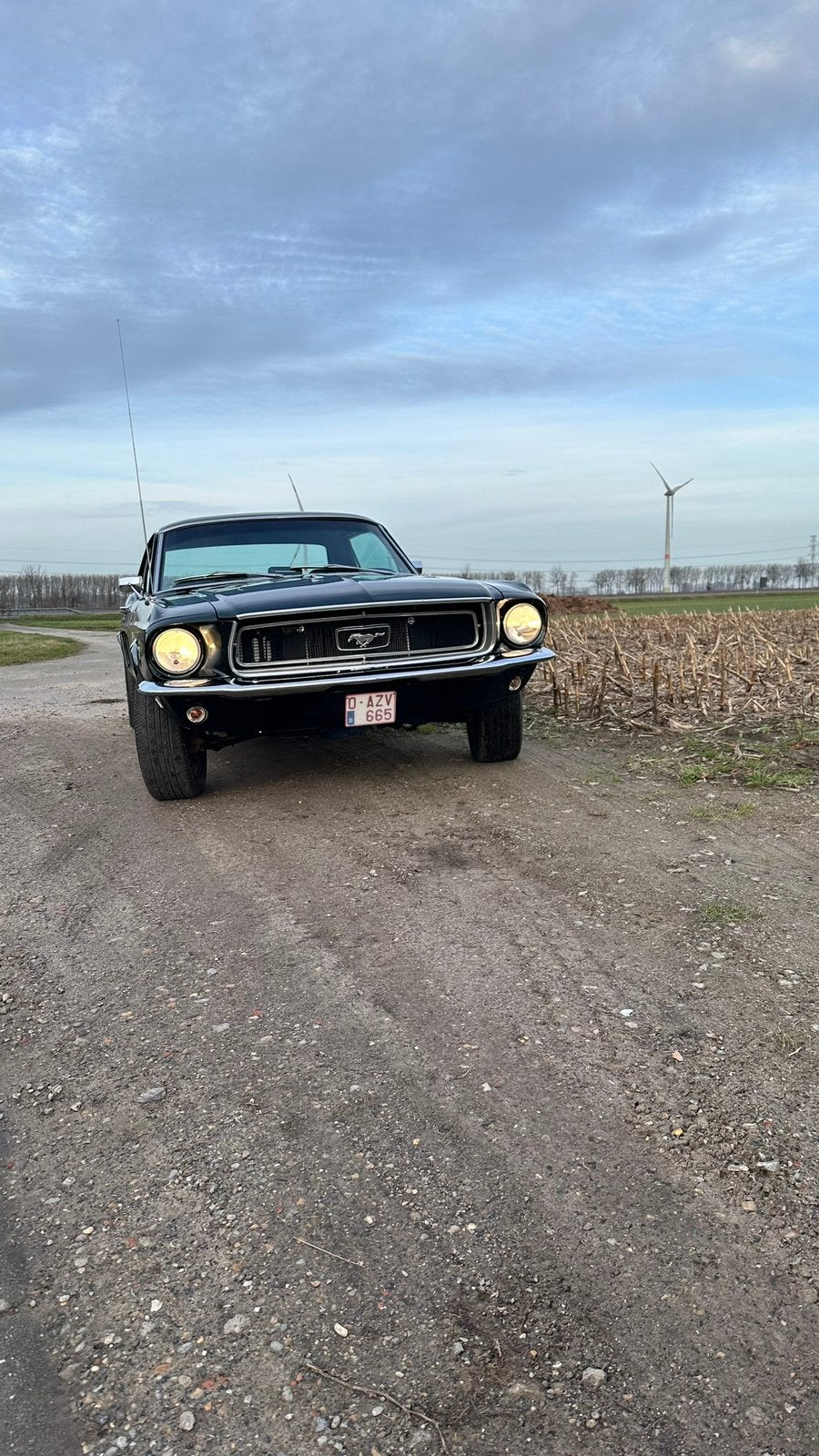 Ford Mustang 1968, foto 7