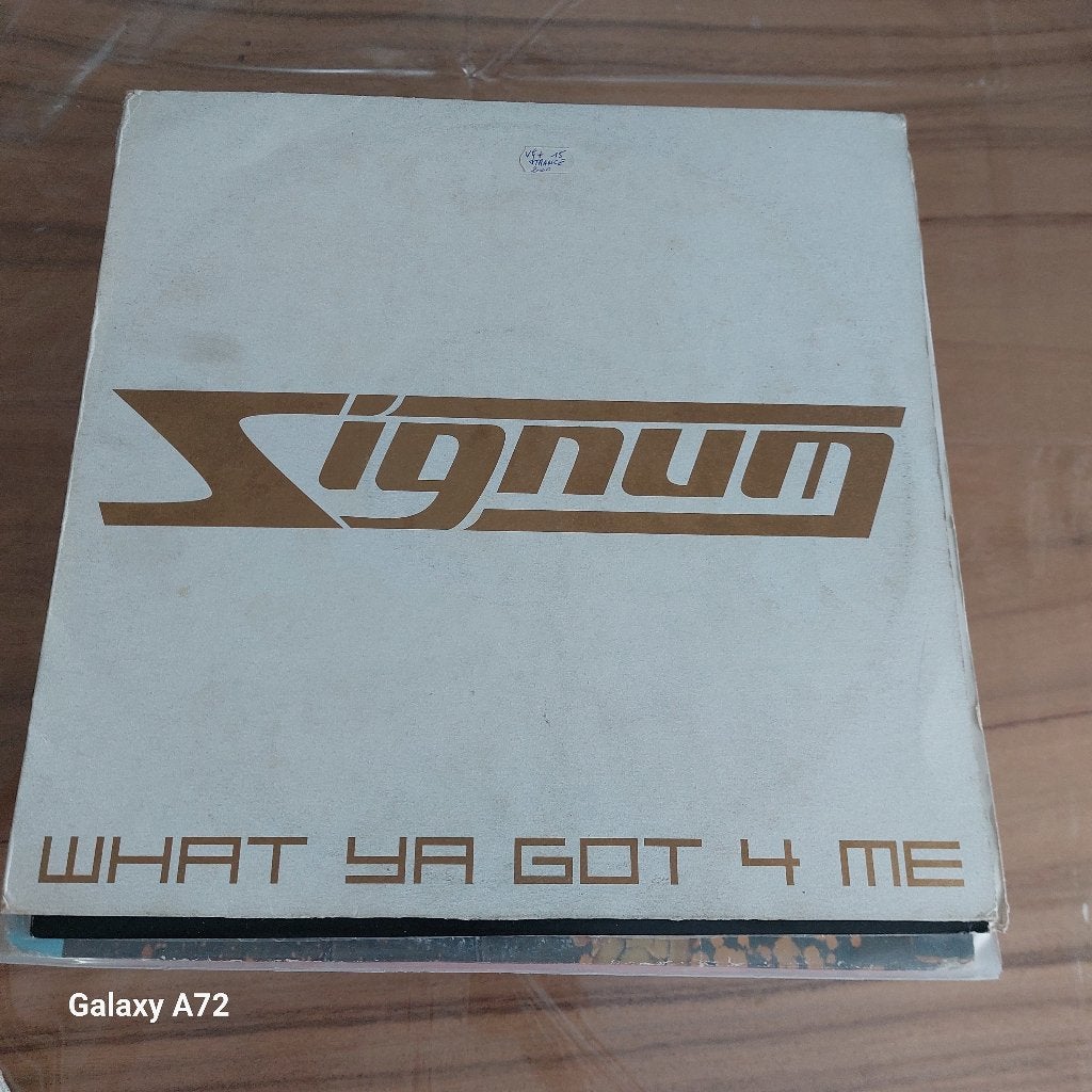 signum what ya got 4 me 12 inch maxi, Gebruikt, Trance, Ophalen of Verzenden, 12 inch