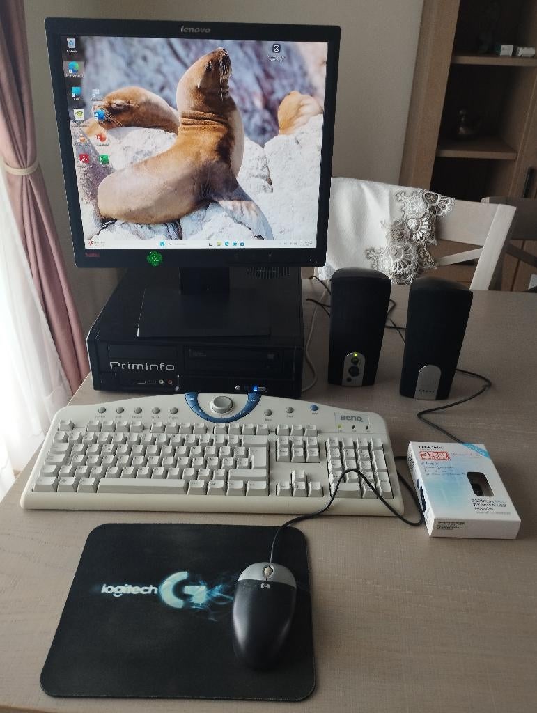 Ordinateur de bureau complet Windows 11 PRO, Enlèvement, Utilisé, SSD
