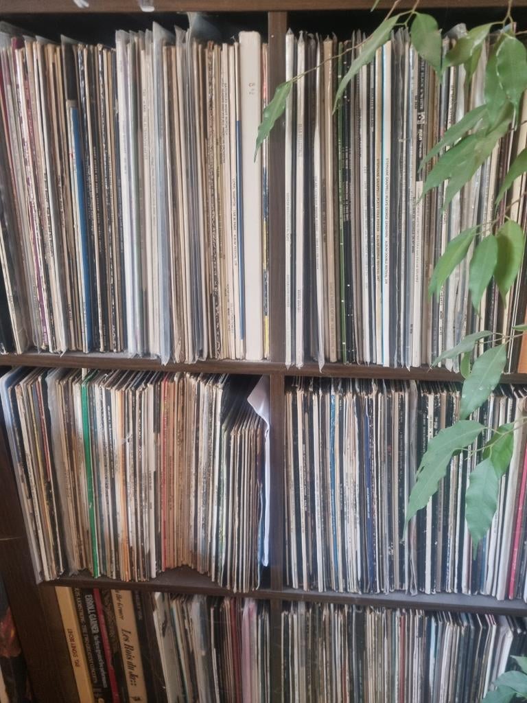 Grande collection vinyles de jazz, Enlèvement