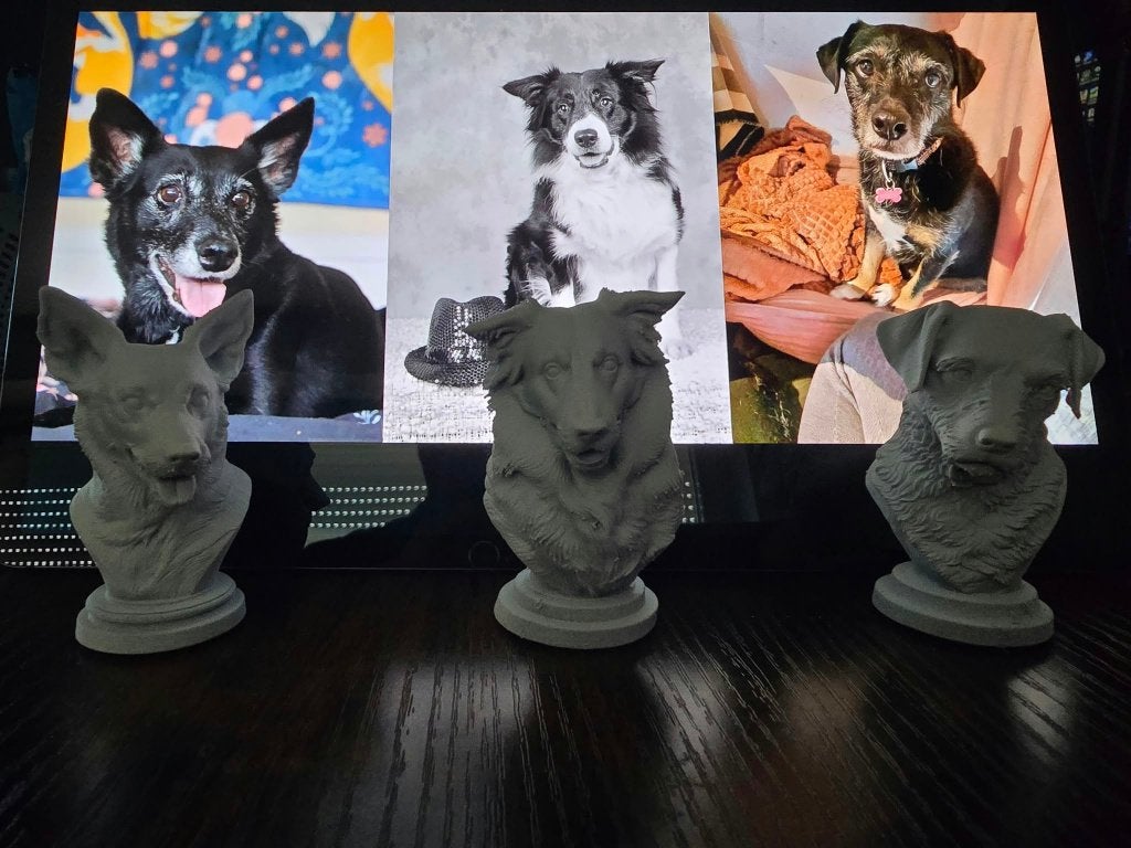 EEN UNIEK AANDENKEN AAN JOUW HOND, Ophalen of Verzenden, Nieuw