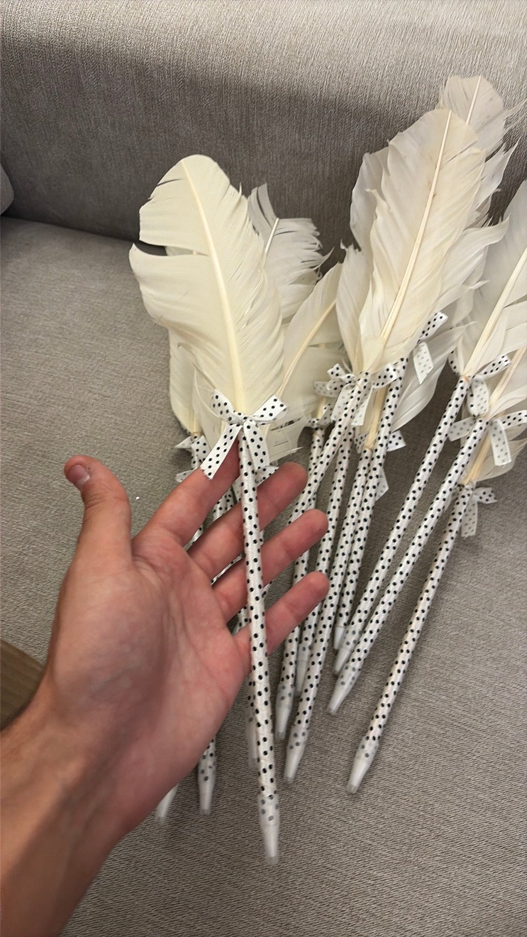 Nieuwe veer pennen - geschenk, Huis en Inrichting, Woonaccessoires | Droogbloemen, Ophalen, Zo goed als nieuw